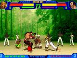 Capoeira Fighter 2